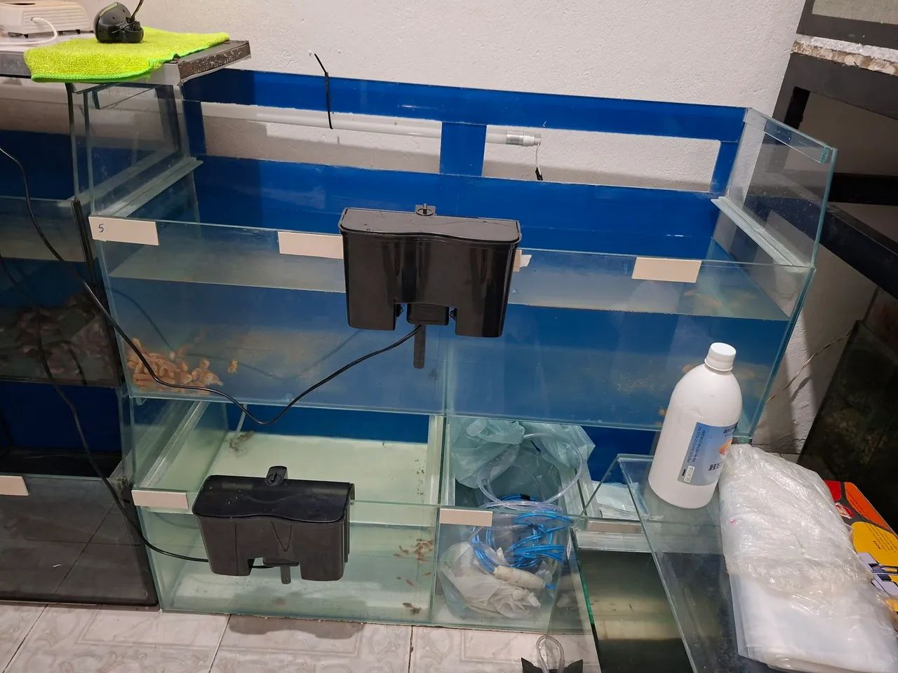 Aquário  - Foto 4