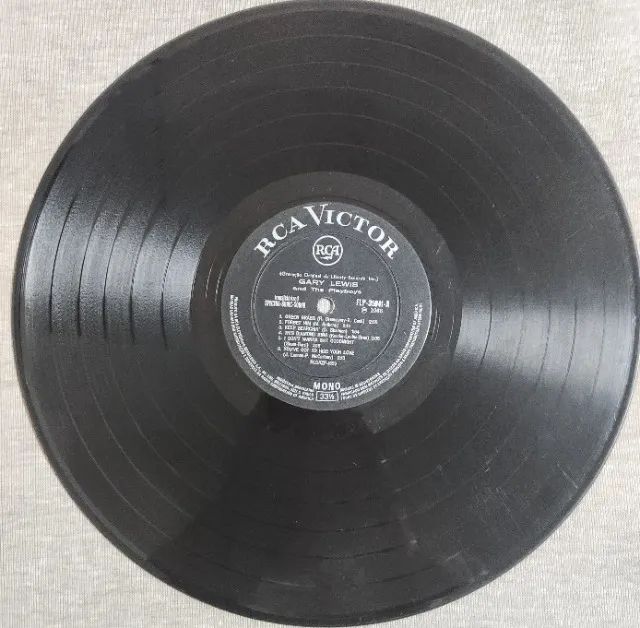 Gary Lewis and The Playboys (LP) - Foto 3