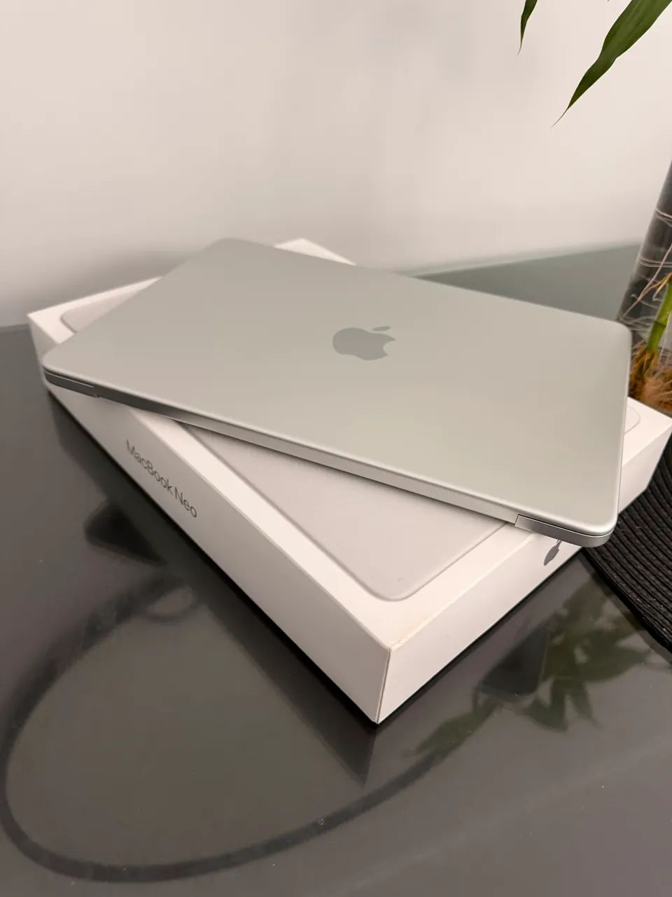MacBook Neo 512bg