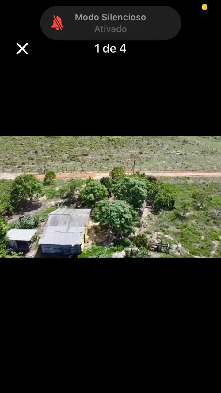 Fazenda 