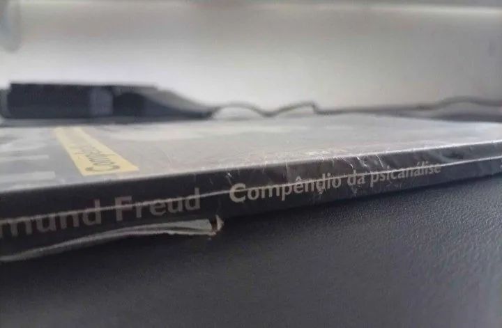 Sigmund Freud, Compêndio da psicanálise  - Foto 2