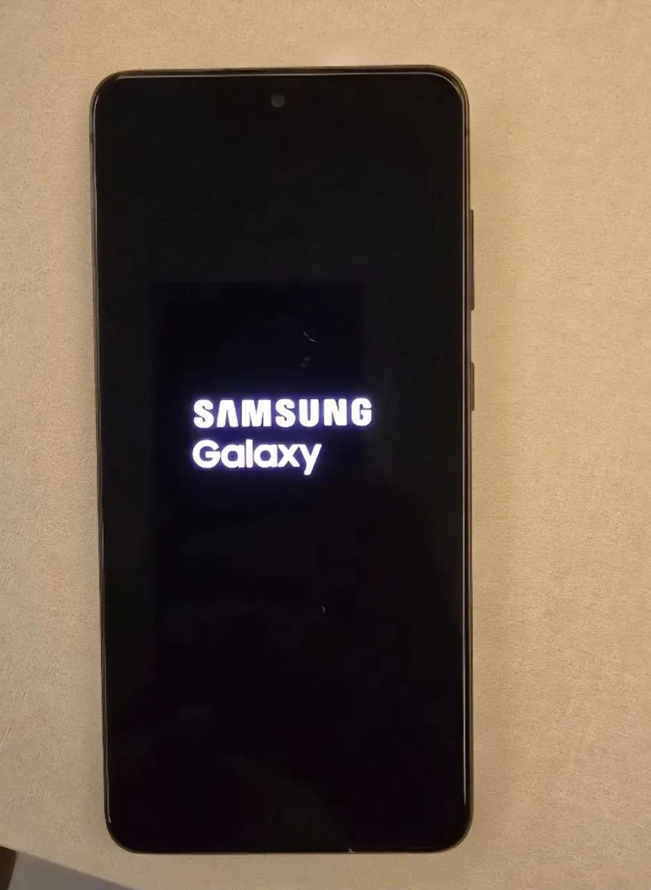 Celular Samsung Galaxy S21 FE 5G 