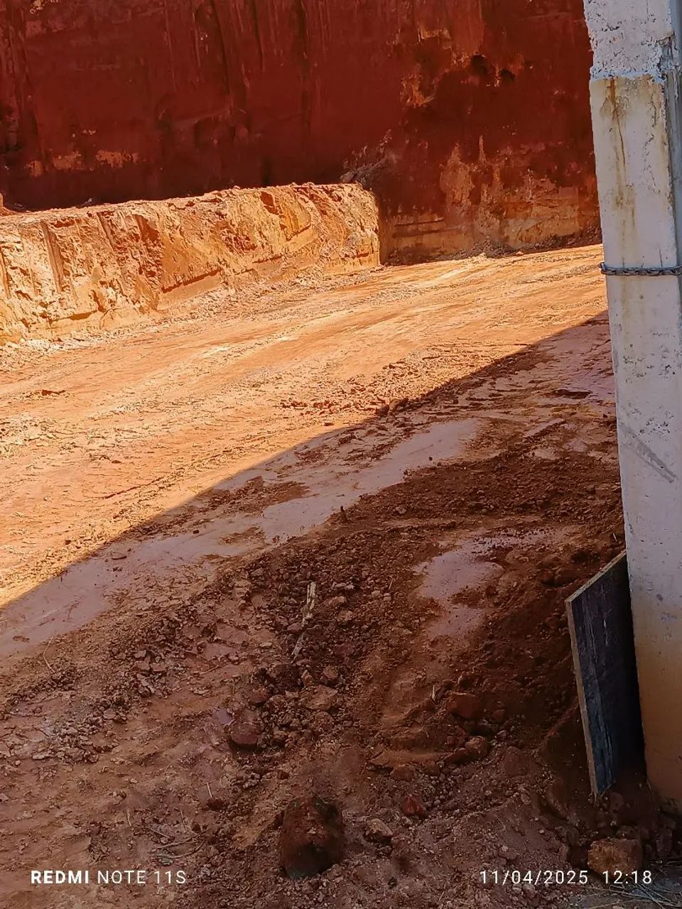 Limpeza de terreno 