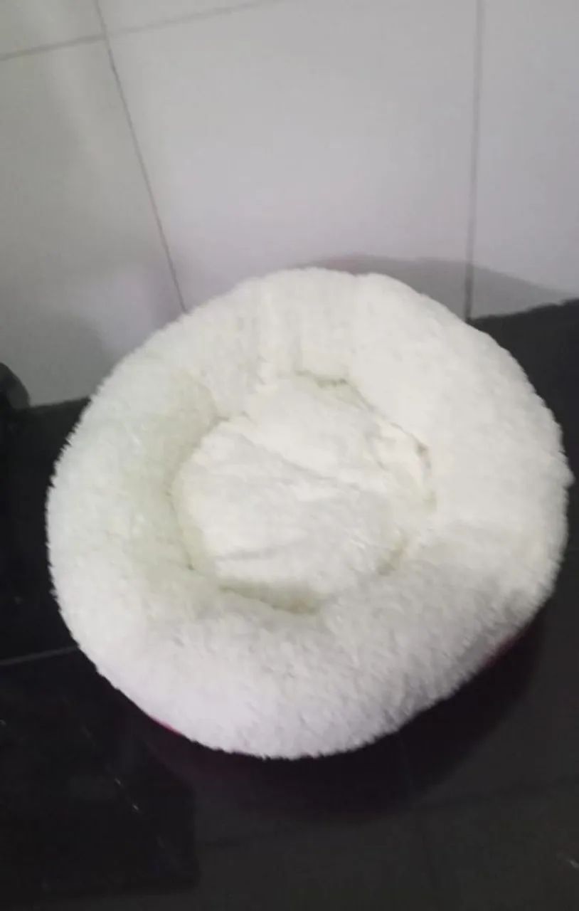 Caminha para pet