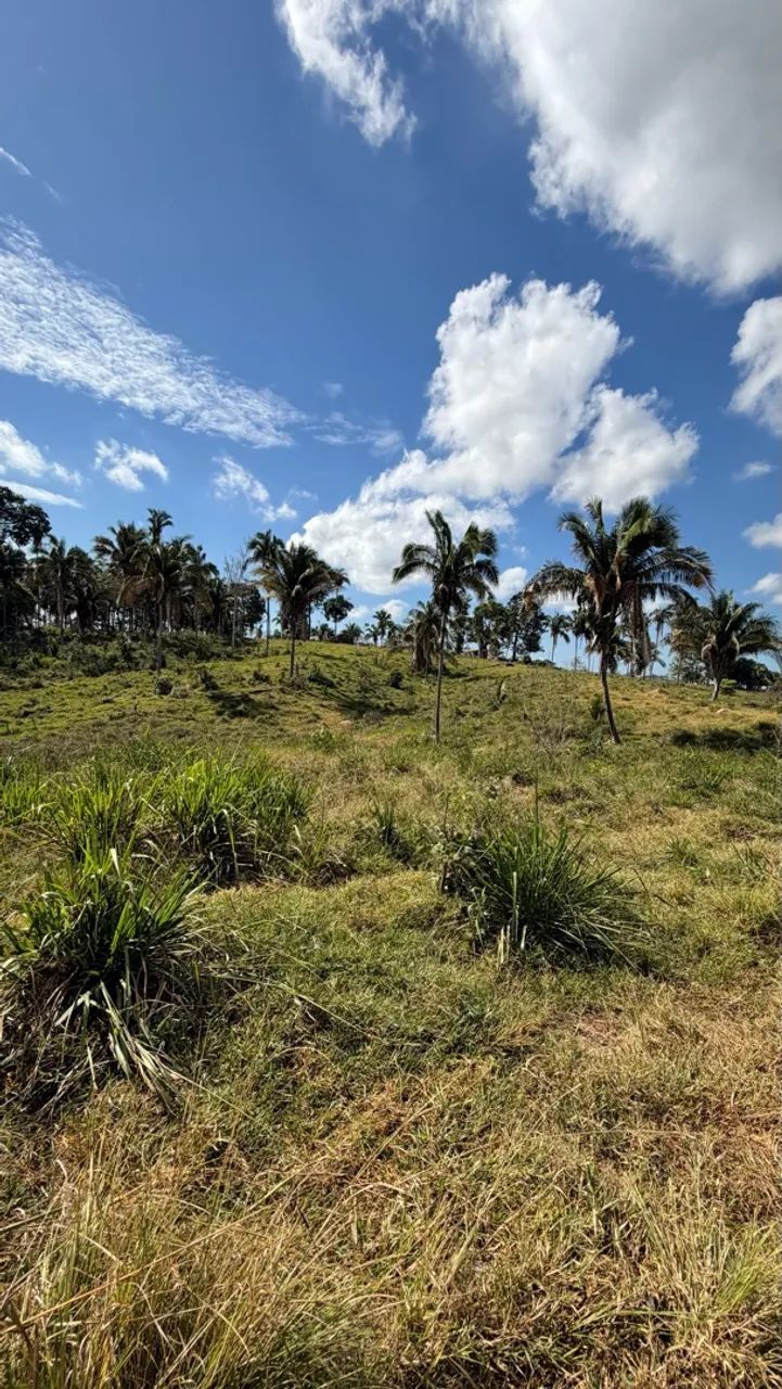 Vende-se Chácara de 6 Alqueires  - Foto 2