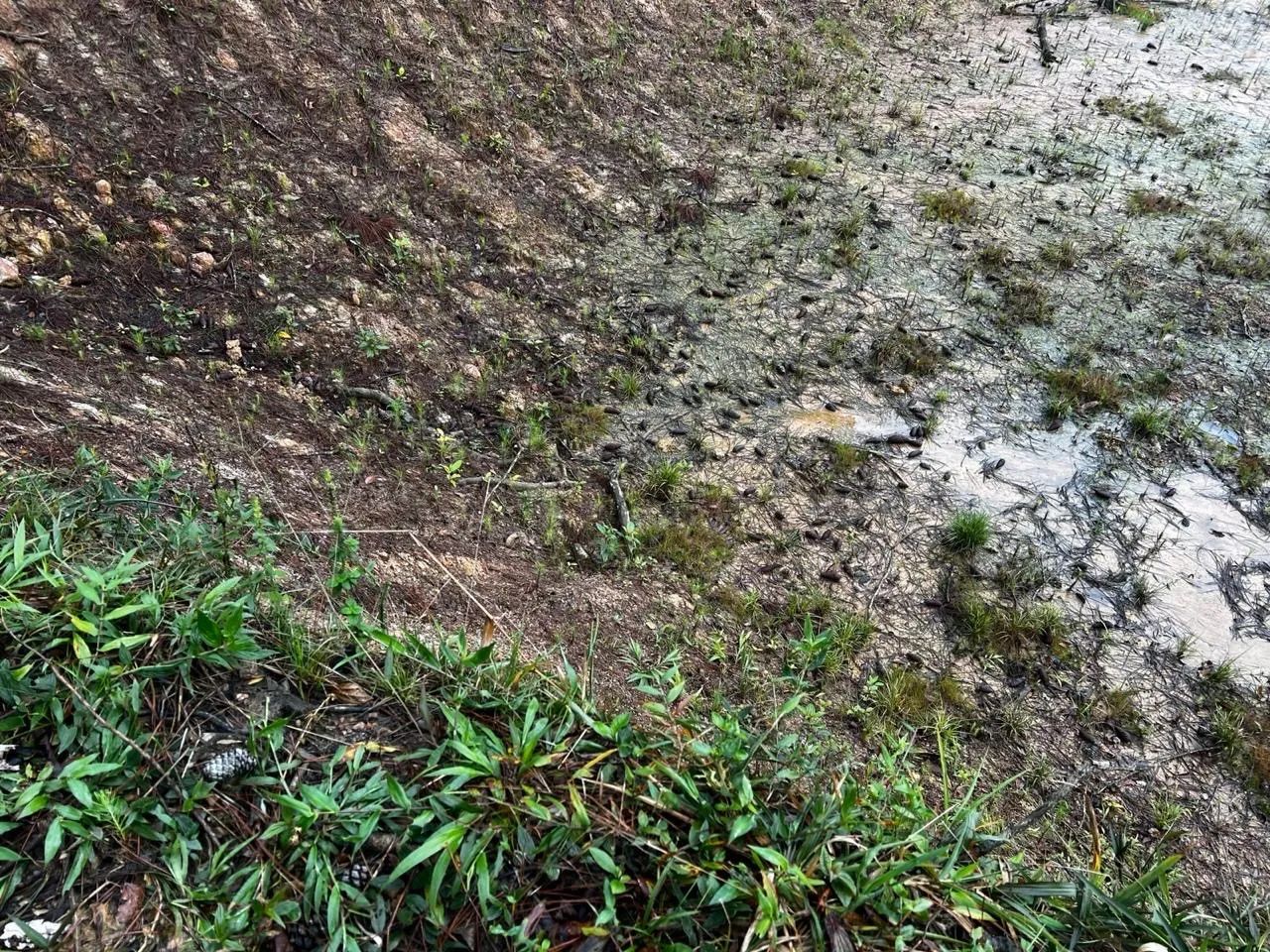 TERRENO À VENDA - EMBU-GUAÇU/SP - Foto 2