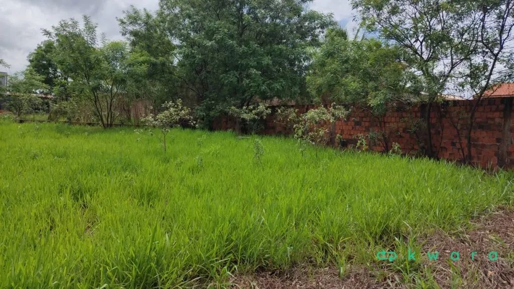 Terreno 300,00 m² em Panorama/SP - Foto 4