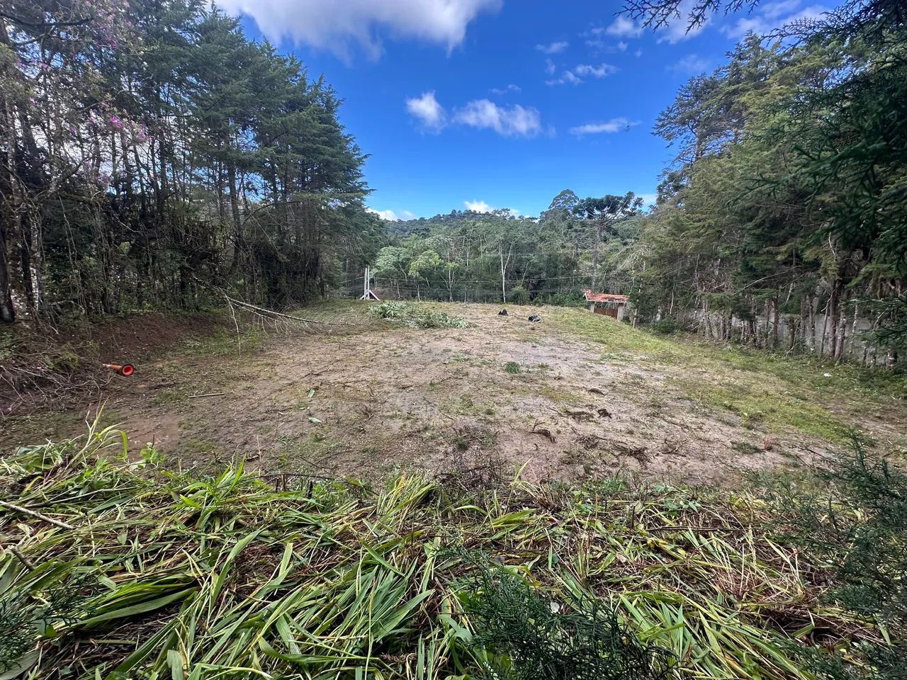 TERRENO  - Foto 4