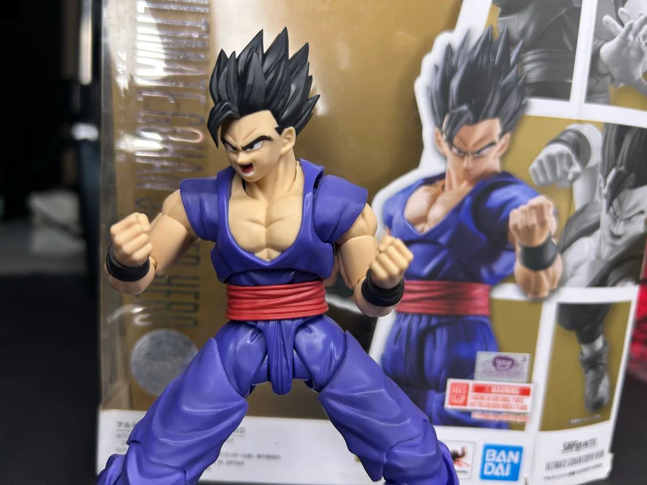 Gohan Shf  - Foto 2