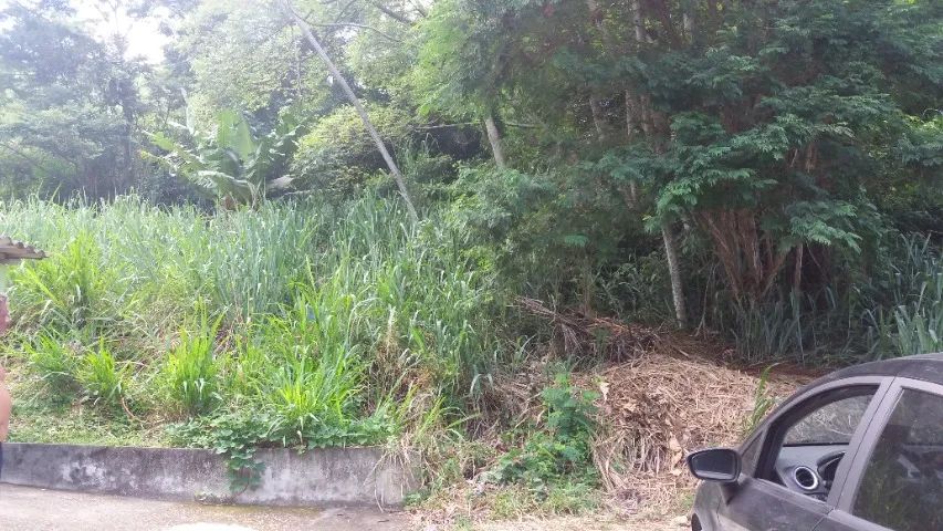 Terreno à Venda - Praia de Barequeçaba  São Sebastião SP 1.181 m² - Foto 2