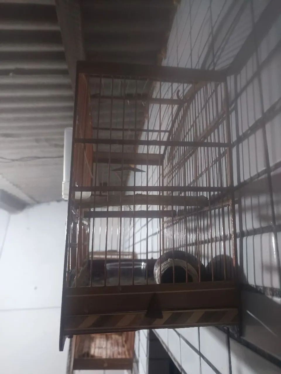 Gaiolas - Foto 2