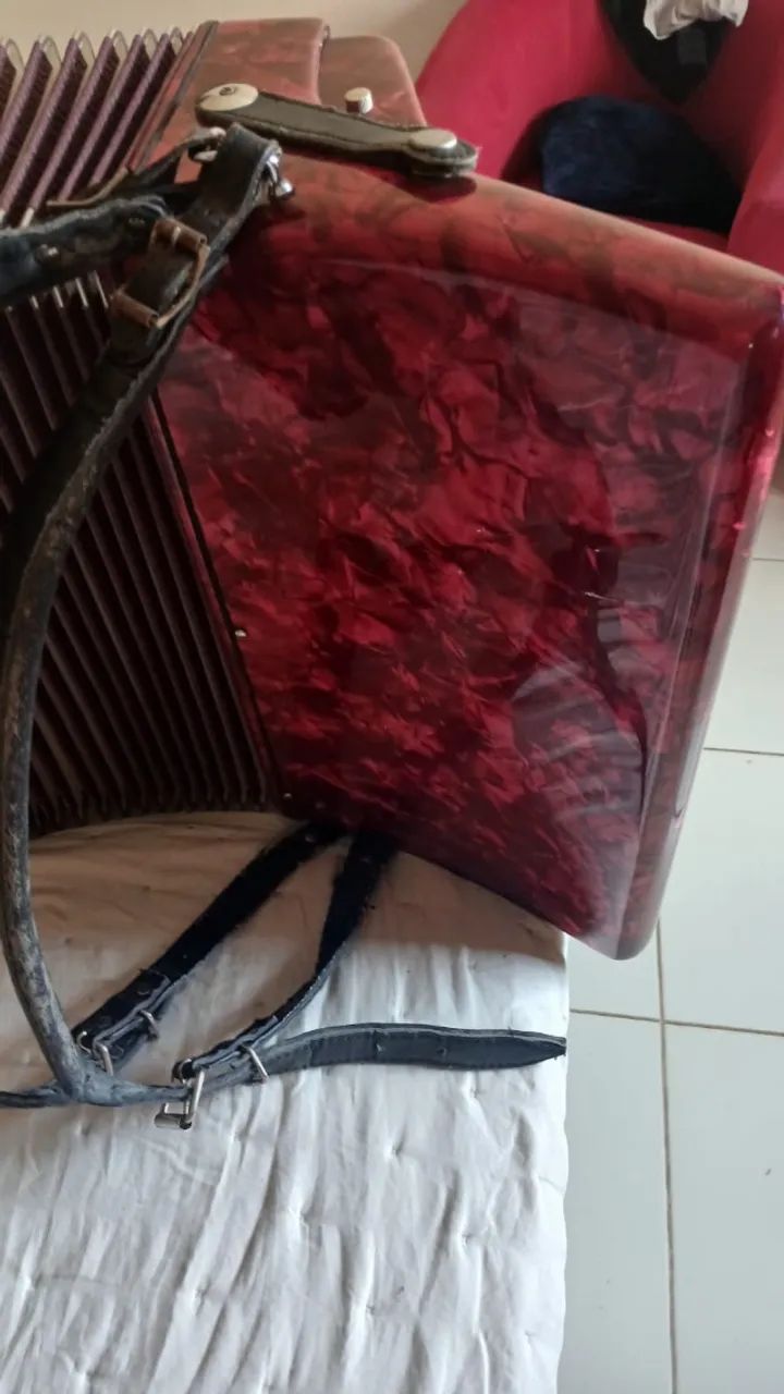 ACORDEON - Marca DOLPHIN - Foto 4