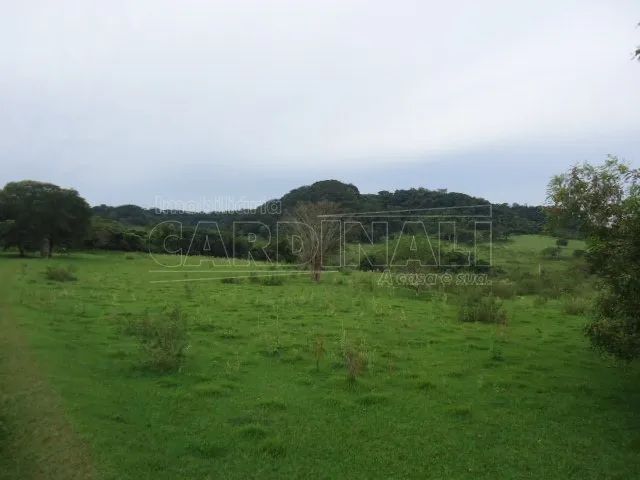 Fazenda Bebedouro de Cima - Foto 4