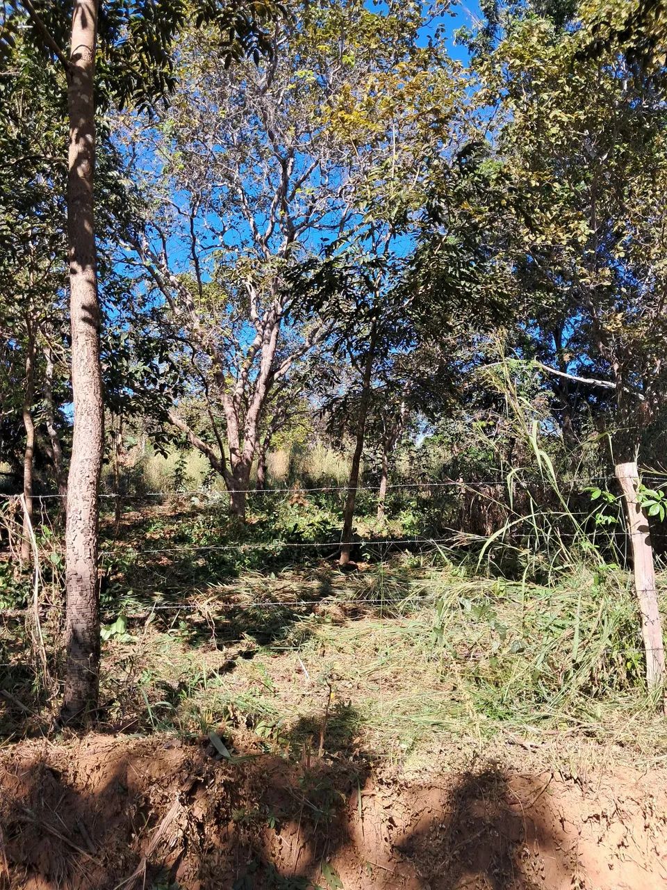 02 LOTES NO TREVO DA PRAIA. - Foto 4