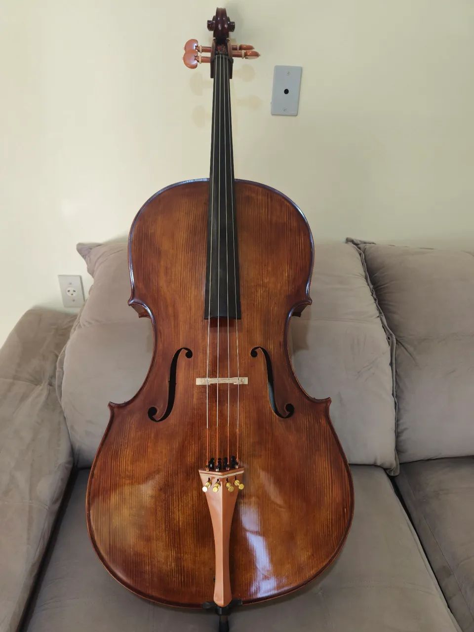 Violoncelo de autor