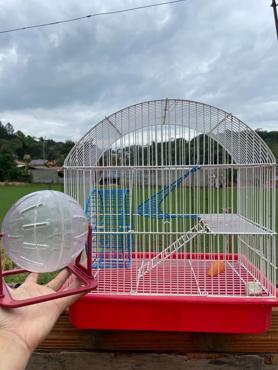 Gaiola e bola transparente Hamster - Foto 2