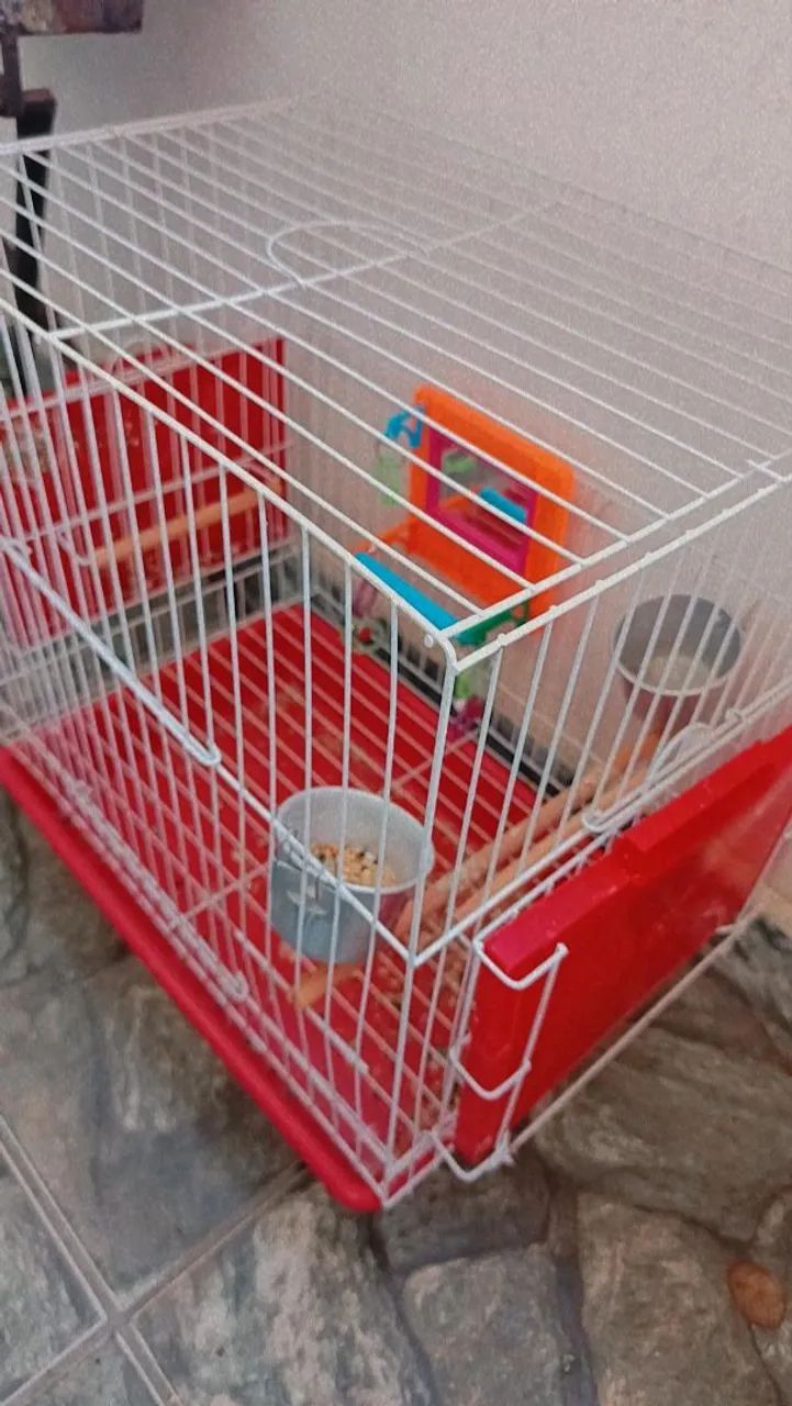 Gaiola para calopsita 