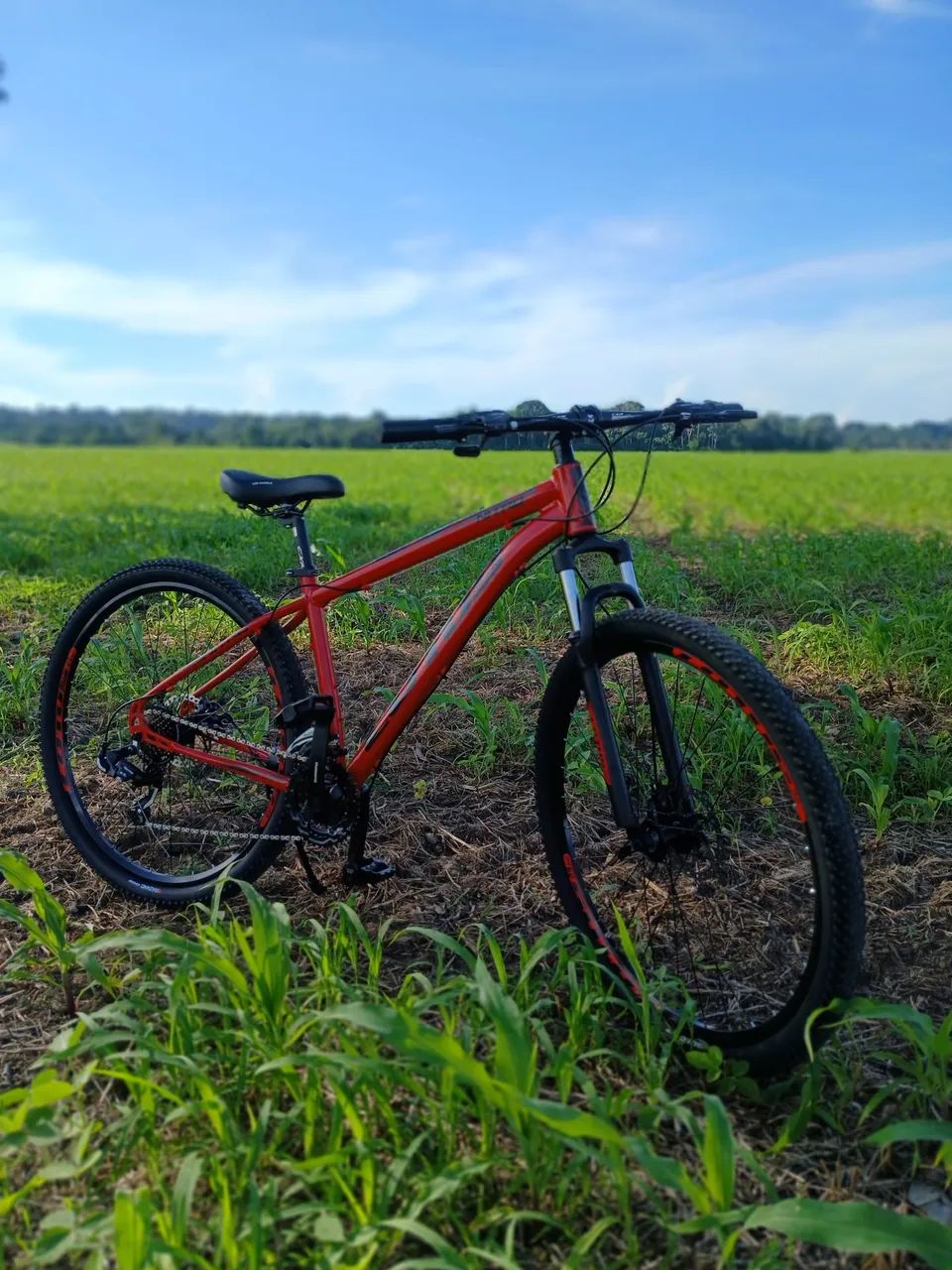Bicicleta Lotus aro 29 21 marcha - Foto 2