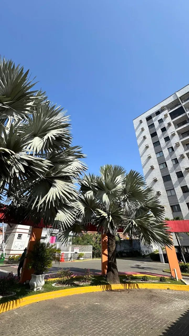 APARTAMENTO MOBILIADO NO ÁRVORES COM 2 QUARTOS- NASCENTE - Foto 6