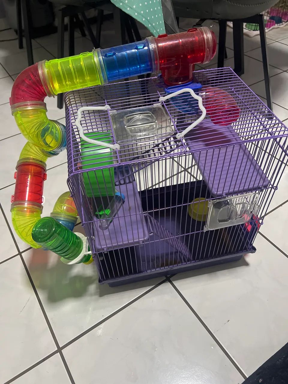 Casa de hamster à venda 