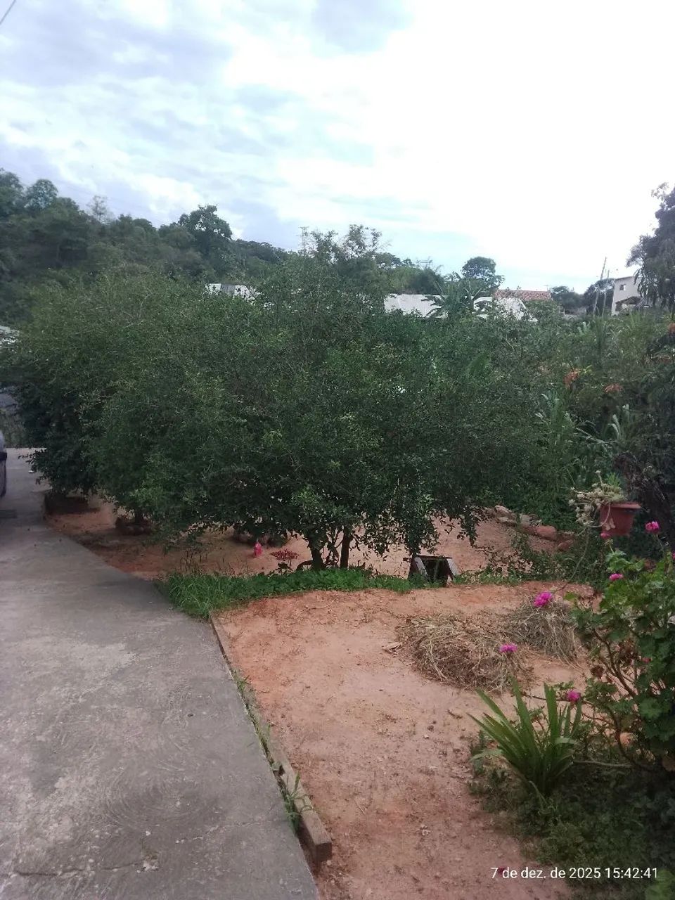 terreno 480mt2 com casa  - Foto 3