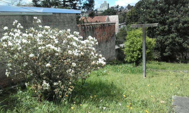 Terreno 900 m2 Boa Vista excelente localização - Foto 3