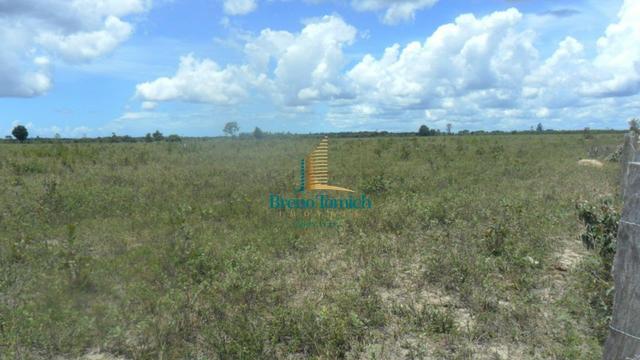 Fazenda em Eunápolis - Foto 15
