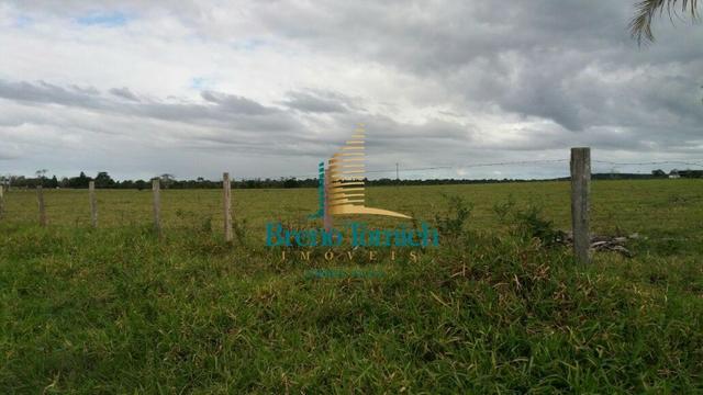 Fazenda Itamaraju - Foto 6