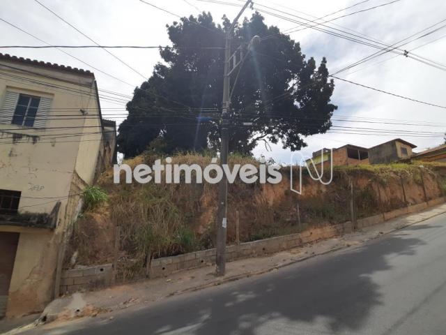 Terreno à venda em Alto dos pinheiros, Belo horizonte cod:767073 - Foto 18
