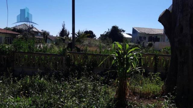 Excelente terreno no Xaxim - Foto 2