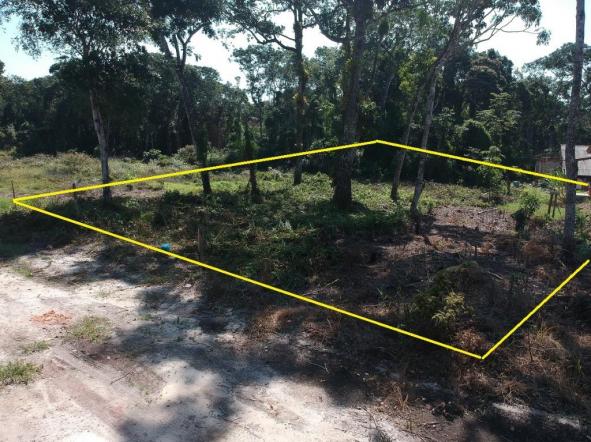 Terreno à venda, 375 m² por r$ 47.000,00 - brandalize - itapoá/sc - Foto 5