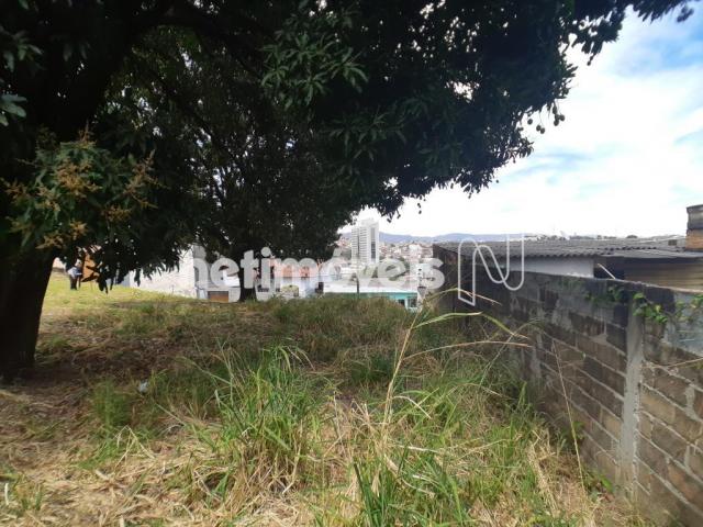 Terreno à venda em Alto dos pinheiros, Belo horizonte cod:767073 - Foto 9