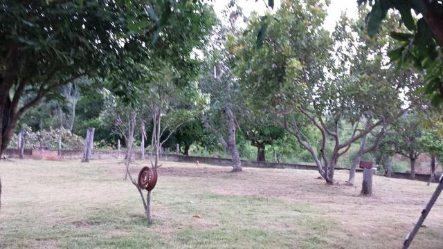 Chácara Cezarina 3 alqueires- Beira Rio dos Bois - 3 quartos com suíte - Foto 3