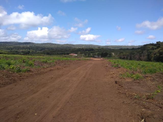 Lotes em Viçosa do Ceará - Foto 13