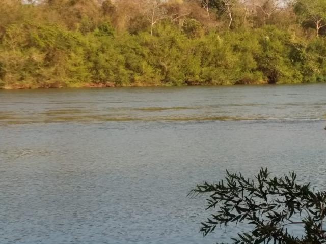 Chacara em acorizal beira do rio - Foto 6