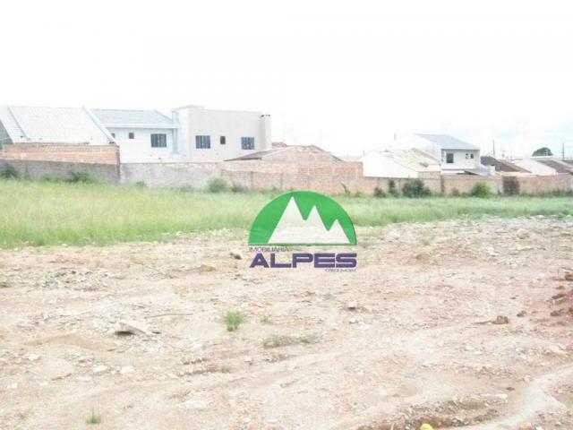 Terreno residencial à venda, santa terezinha, fazenda rio grande.