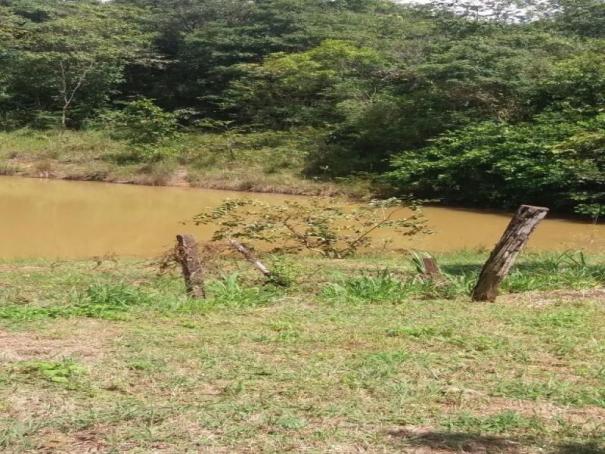 Chácara à venda com 3 dormitórios em Zona rural, Cezarina cod:em527 - Foto 10