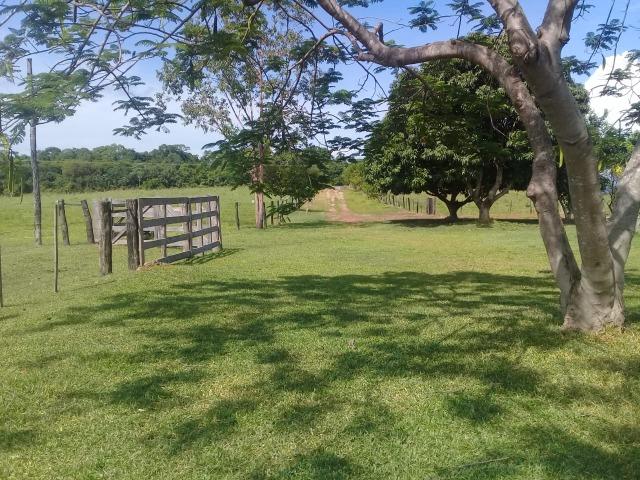 Fazenda toda formada a 99 km de Várzea Grande sentido Cáceres - Foto 12