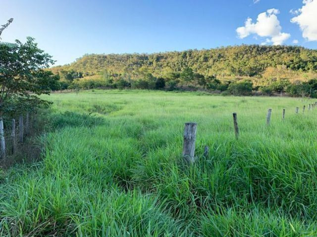 Vendo Fazenda 12 Alqueires, 55 Km de Palmas