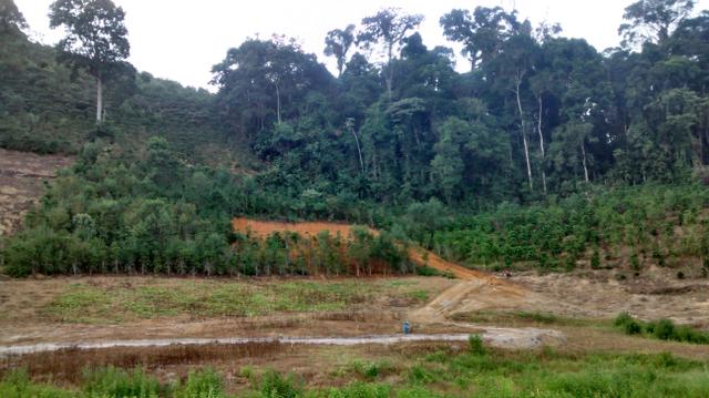 Sitio melgaco 2 hequitares