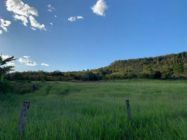 Vendo Fazenda 12 Alqueires, 55 Km de Palmas - Foto 4