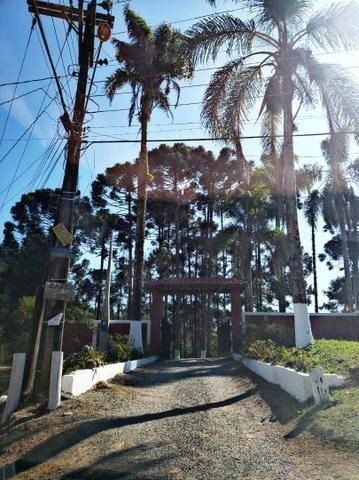 85- Compre seu terreno agora, sem complicações - Foto 2