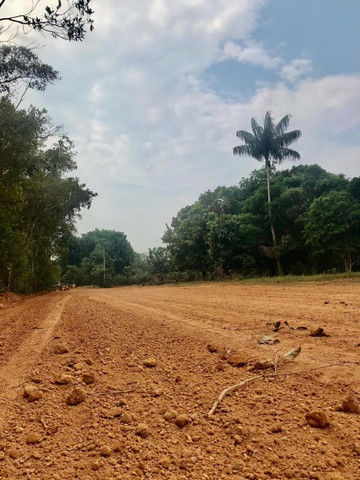 Chácaras Vista Bela Km-13 //15 Minutos Depois da Ponte do Rio Negro - Foto 8
