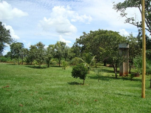 Chácara Excelente 2,5 Alqueires, Próximo à Rozelandia-Bela Vista de Goiás - Foto 5
