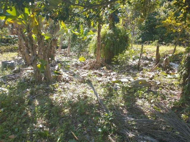 Chácara Viana 4 500 mil metros quadrados - Foto 15