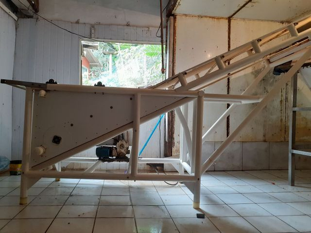 Máquina de descascar camarão