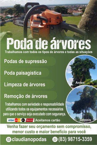 Poda de árvores limpeza de coqueiro e remoção de árvores  - Foto 2