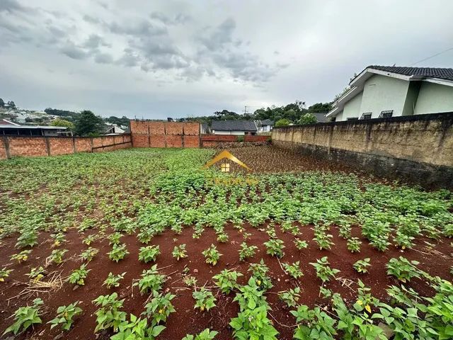 Lote/Terreno para venda possui 360 metros quadrados em São Francisco - Pato Branco - PR - Foto 2