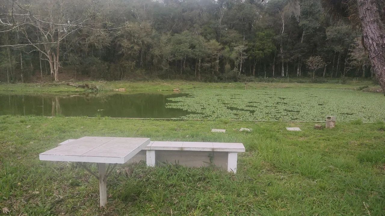 foto - Mandirituba - Área Rural (Quatro Pinheiros)