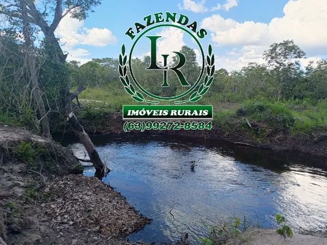 Fazenda 119 Alqueires Bruta Dupla Aptidão - Foto 4